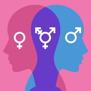 GenTraQ™, Gender Measurement Toolkit